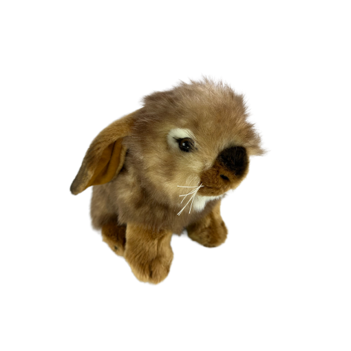Cinnamon (Lop Eared Rabbit - 25cm sitting)