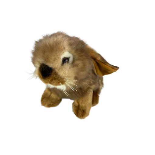 Cinnamon (Lop Eared Rabbit - 25cm sitting) - 图片 2