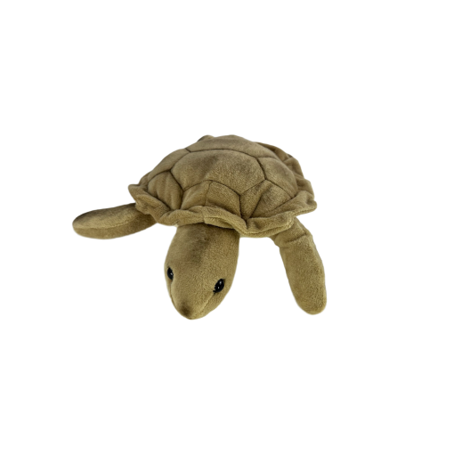 Doug (Turtle - 27cm) - 图片 2