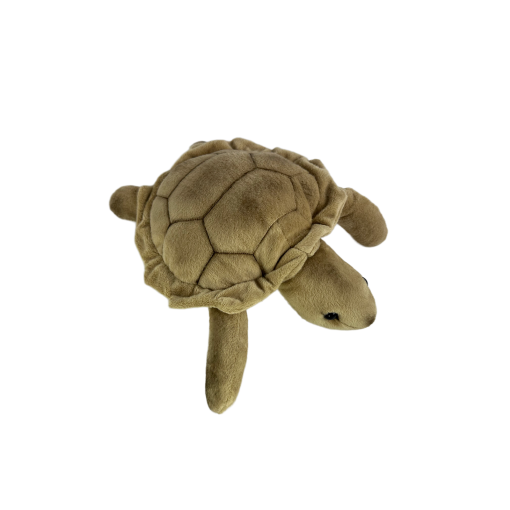 Doug (Turtle - 27cm) - 图片 3