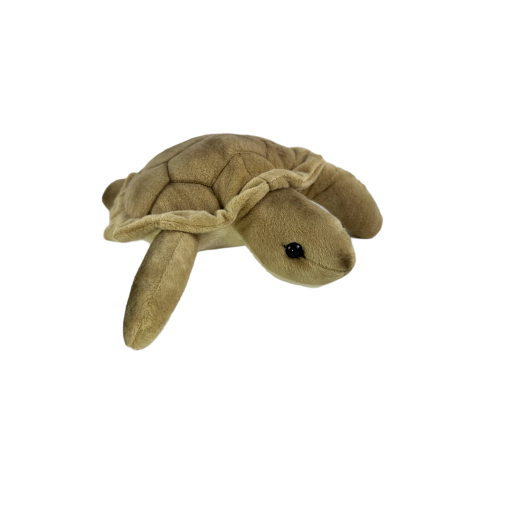 Doug (Turtle - 27cm) - 图片 4