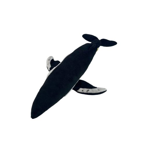 Humphrey (Humpback Whale - 28cm) - 图片 4