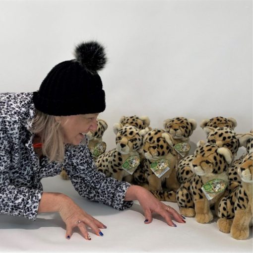 Calypso (Cheetah Cub - 26cm sitting) - 图片 3