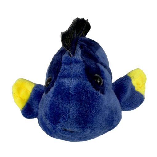 Koral (Blue Tang) - 图片 3