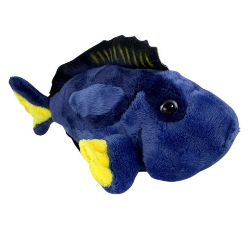 Koral (Blue Tang) - 图片 2