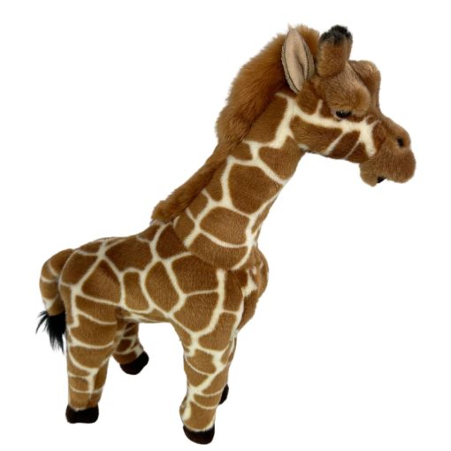 Elliot (Giraffe) - 图片 3
