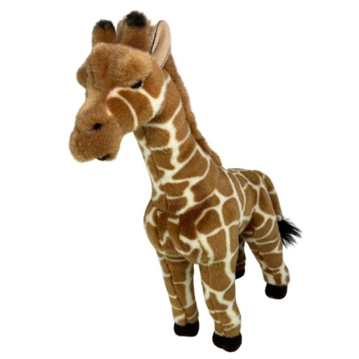 Elliot (Giraffe) - 图片 4